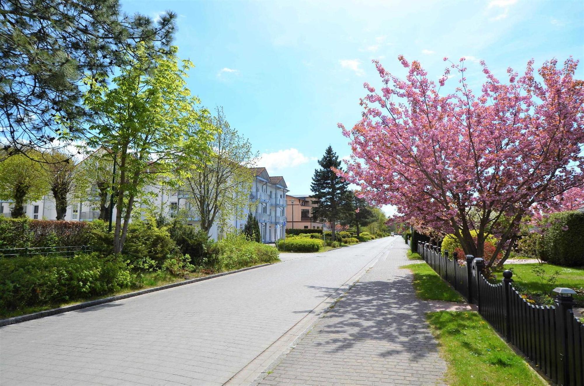 Ferienwohnung 300 Meter Zur Ostsee 그랄뮈리츠 외부 사진